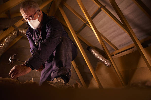 Best Geographic-Specific Insulation Services in Mosinee, WI